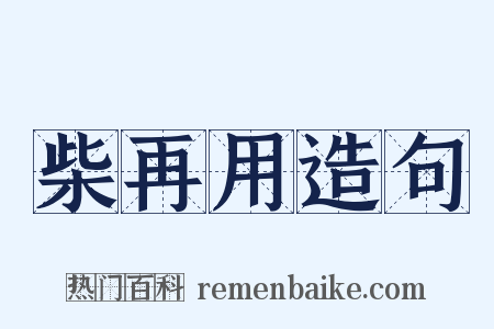 柴再用造句是什么意思的图片